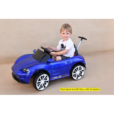 odběr v Teplicích!, Neon Sport 4x4 s 2.4G dálkovým ovládáním, vodící tyčí, lakovaný růžový odběr v Teplicích!, Neon Sport 4x4 s 2.4G dálkovým ovládáním, vodící tyčí, lakovaný růžový