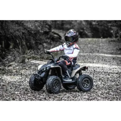 Elektrická čtyřkolka Can-am Renegade, kaki, jednomístná, odpružená přední a zadní náprava, LED Světlá, 12V baterie, 2 x 35W Moto