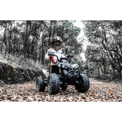 Elektrická čtyřkolka Can-am Renegade, kaki, jednomístná, odpružená přední a zadní náprava, LED Světlá, 12V baterie, 2 x 35W Moto