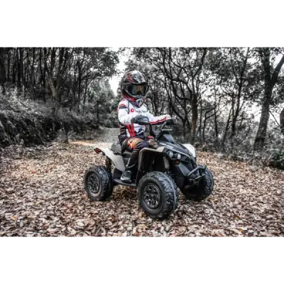 Elektrická čtyřkolka Can-am Renegade, kaki, jednomístná, odpružená přední a zadní náprava, LED Světlá, 12V baterie, 2 x 35W Moto