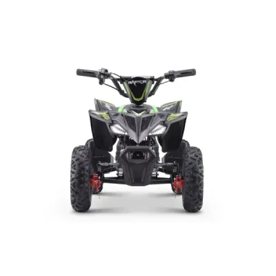 Elektrická čtyřkolka pro děti Beneo Motors Raptor zelená - 800W