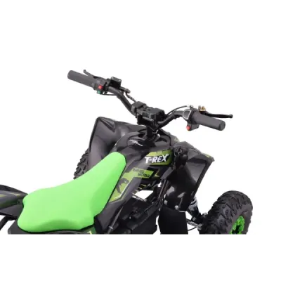 Elektrická čtyřkolka pro děti Beneo Motors T-REX zelený - 1300W