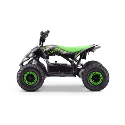 Elektrická čtyřkolka pro děti Beneo Motors T-REX zelený - 1300W