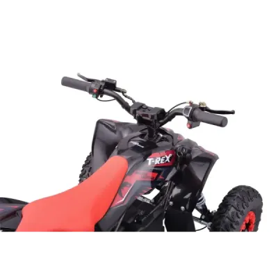 Elektrická čtyřkolka pro děti Beneo Motors T-REX červený - 1300W