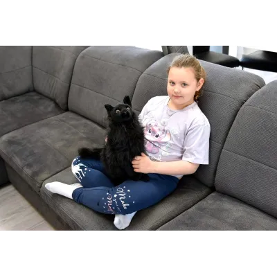 Plyšová sedící kočka Ragdol černá, výška 40cm Plyšová sedící kočka Ragdol černá, výška 40cm