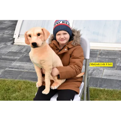 Plyšový sedící pes Labrador, 70cm