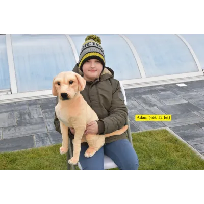 Plyšový sedící pes Labrador, 70cm