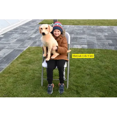 Plyšový sedící pes Labrador, 70cm