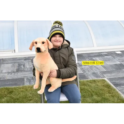 Plyšový sedící pes Labrador, 70cm
