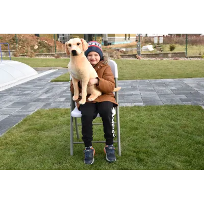 Plyšový sedící pes Labrador, 70cm