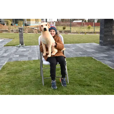 Plyšový sedící pes Labrador, 70cm