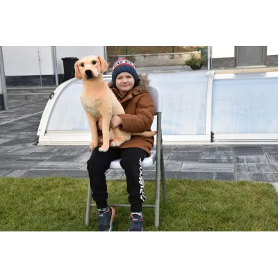 Plyšový sedící pes Labrador, 70cm