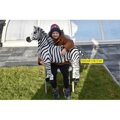 Veliká plyšová zebra, jako živá, 97cm